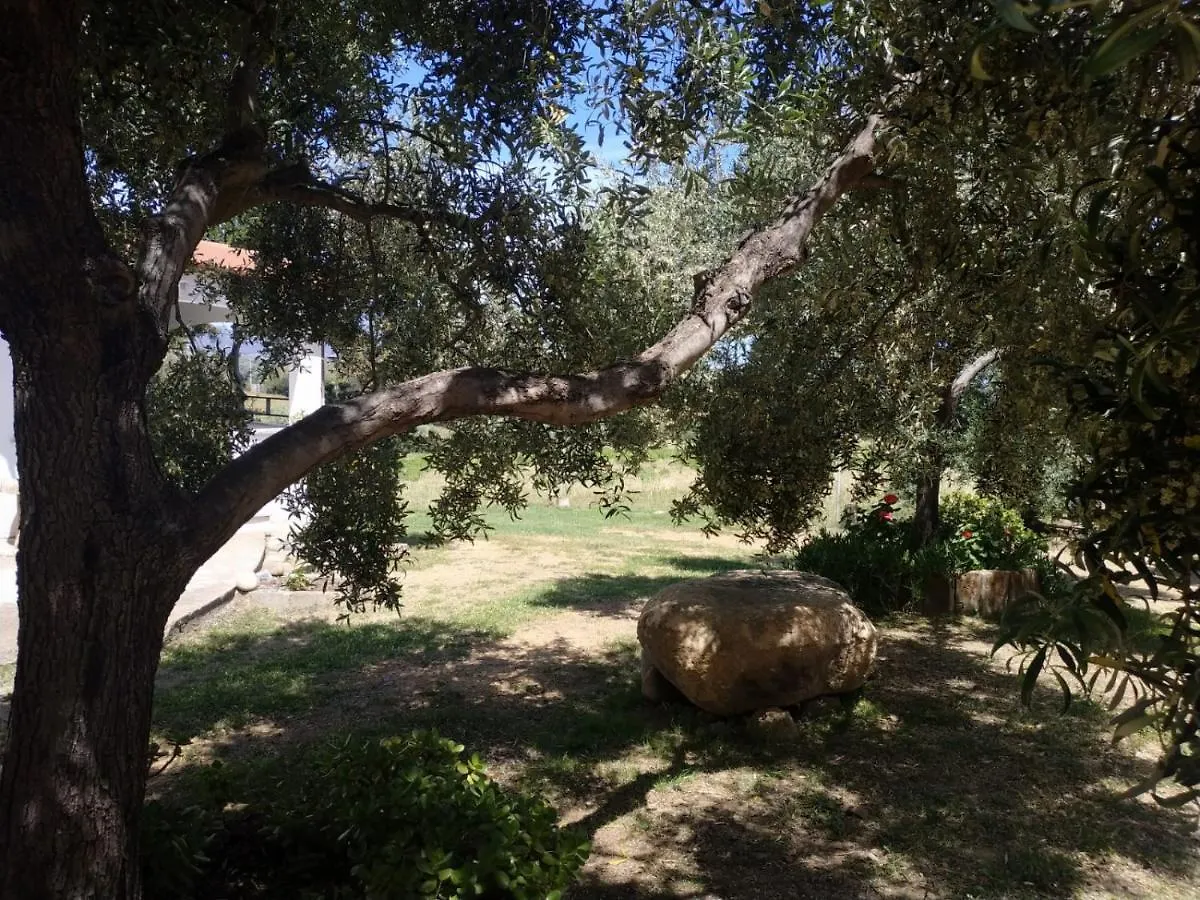 Vacanza in Ogliastra Tertenìa 0*,  Italia