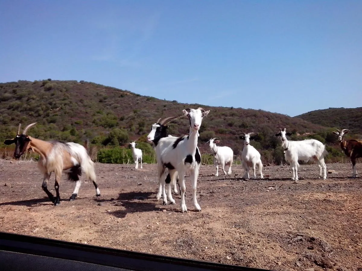 Vacanza In Ogliastra Tertenìa